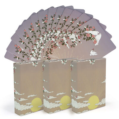 satın al Vintage baskı tasarımı ve özel logo ile özel holografik plastik oyun kartları online manufacture