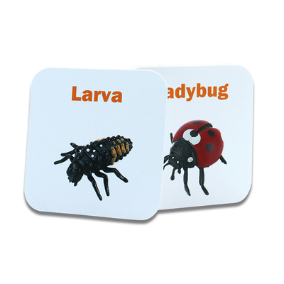 Adı